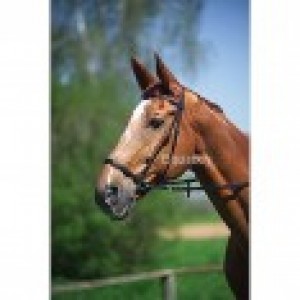 Obrazek